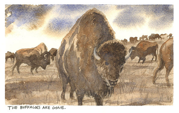 a watercolor painting of buffalo on a prairie