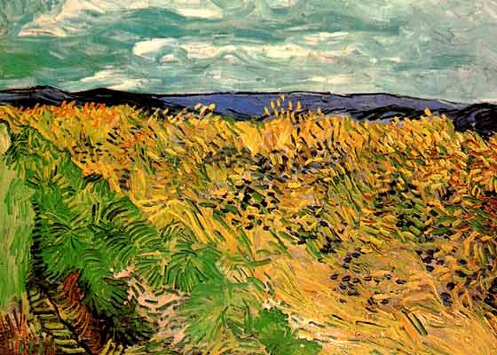 van gogh wheat field with cornflowers