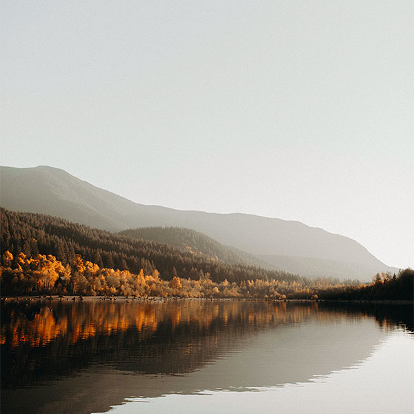 lakeshore in autumn