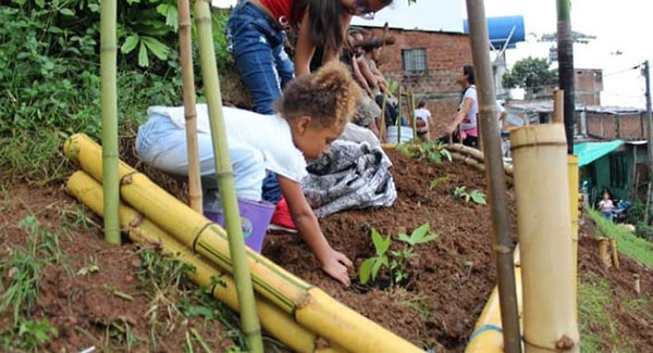 little girl planting seedlings in a steep hill garden