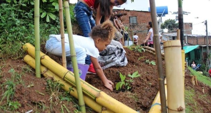 Niña plantando en una huerta comunitaria.