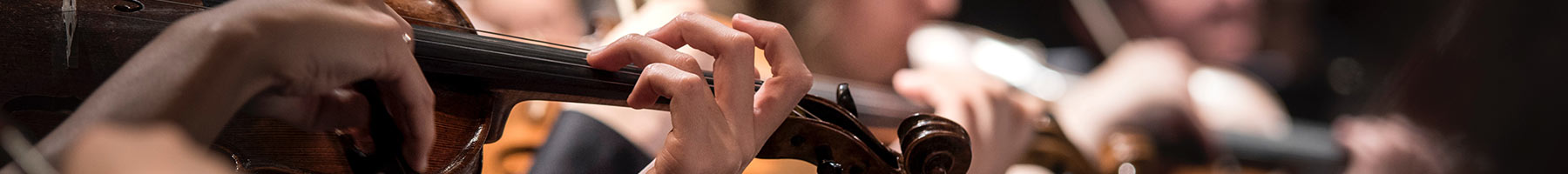 group of violin players performing