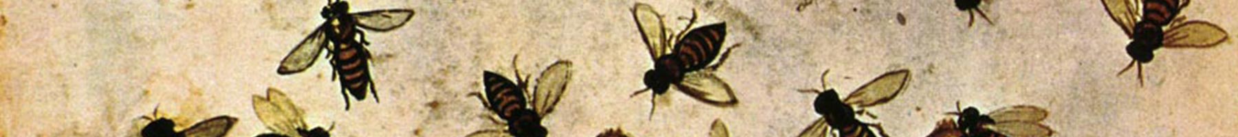 An illustration of apiaries from the Tacuinum Sanitatis, fourteenth century