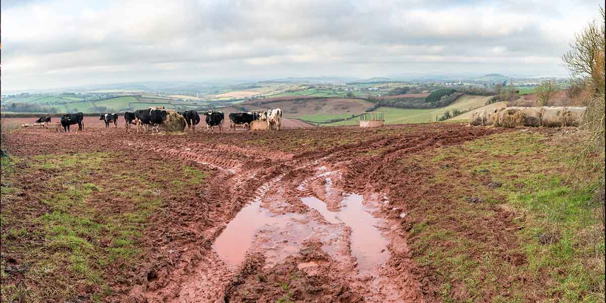 https://www.plough.com/-/media/images/plough/article/2022/autumn/wainwright/devonmudsocial.jpg?la=en