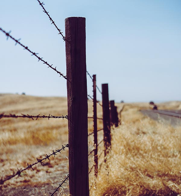 old barbed wire fence