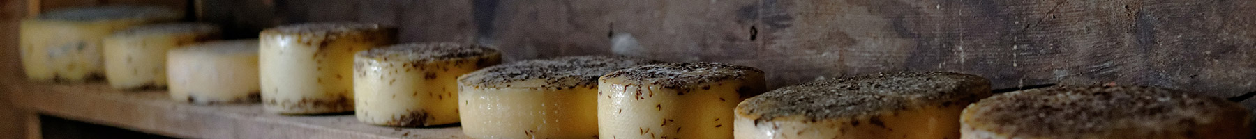 a row of cheeses on a shelf