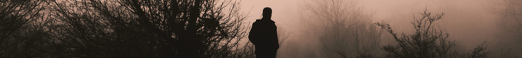 silhouette of a man against fog and windswept trees