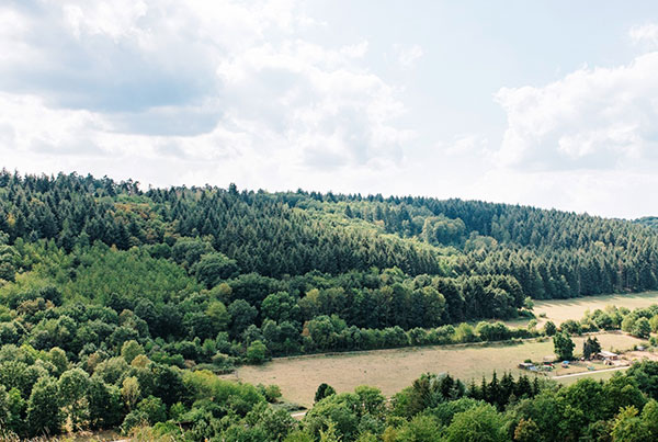 Sustainables Family Forests in Wallhausen and Dalberg 