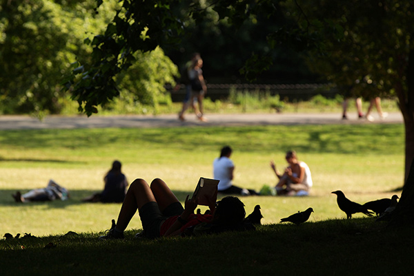 people enjoying a park on a summer day