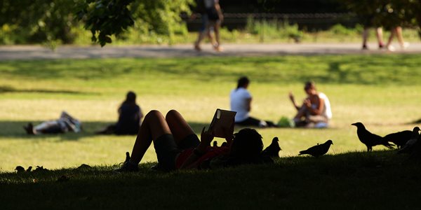 people enjoying a park on a summer day