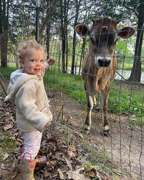 a little girl standing next to a cow