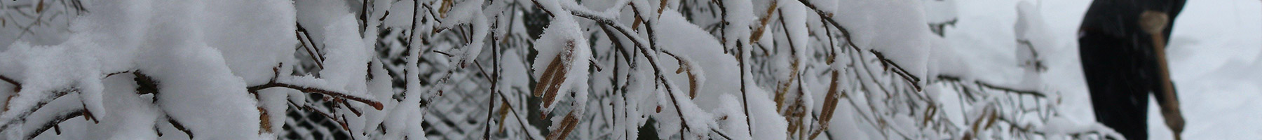 a man shovelling snow