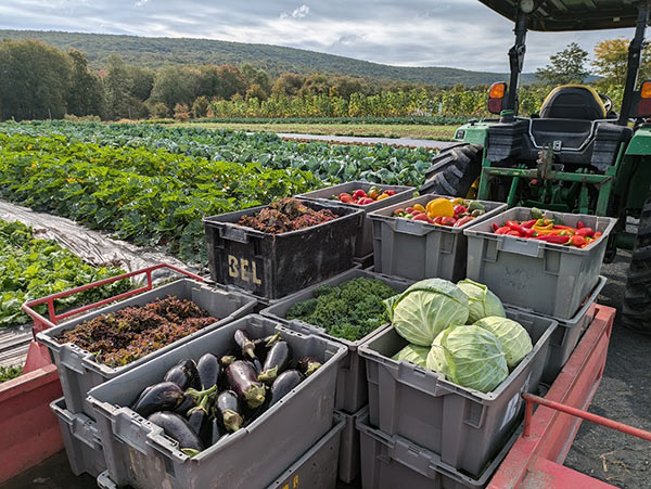 a tractor hauling a trailer full of vegetables