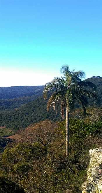 Cerro Hu, Paraguay, July 2019