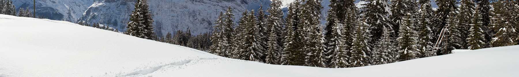 tracks in the snow in the Alps