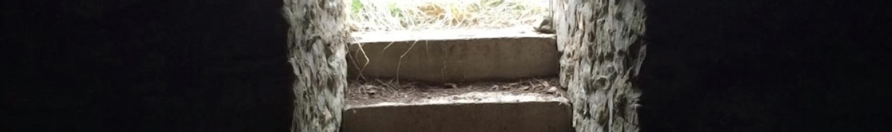 doorway into dark cellar