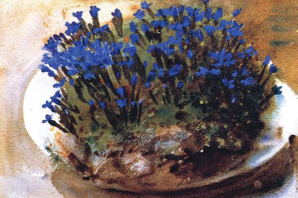 John Singer Sargent, Blue Gentians