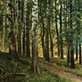 A painting by Ivan Shishkin depicting a birch grove with sunlight filtering through green leaves.