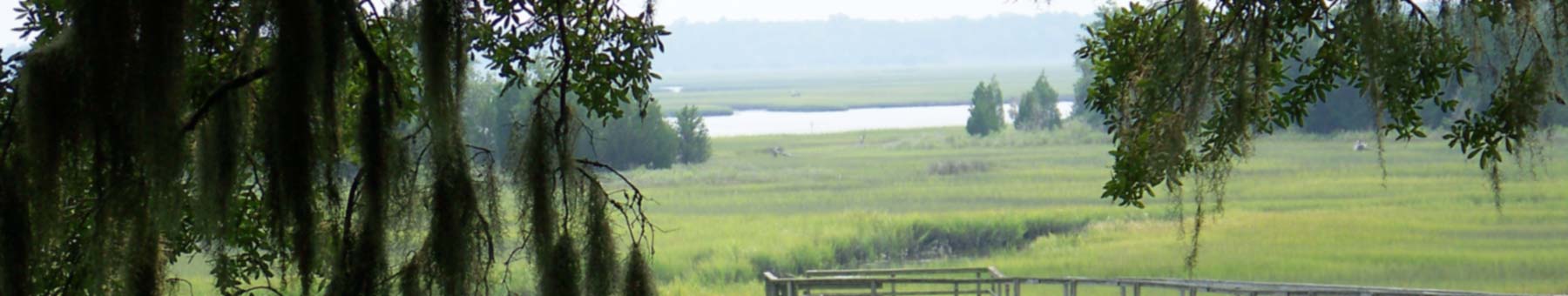 The Dixie Plantation property along the Stono River includes brackish, saltwater, and fresh-water ponds as well as wetlands and tidal marshes. 