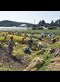 The ARI community harvests rice on its farm in northern Japan.