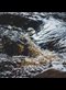 rushing water