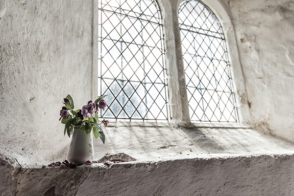 flowers on a window sill