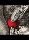 Albrecht Dürer, Adam and Eve, detail, 1507