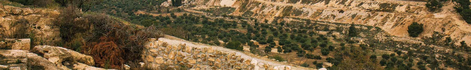 Shepherds’ fields near Bethlehem in Israel