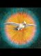 painting of a dove