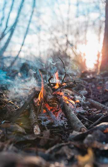 A campfire in the woods