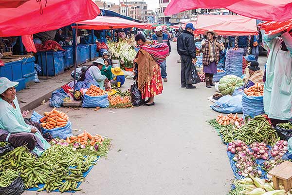 Street market in El Alto, near where the community has its farm