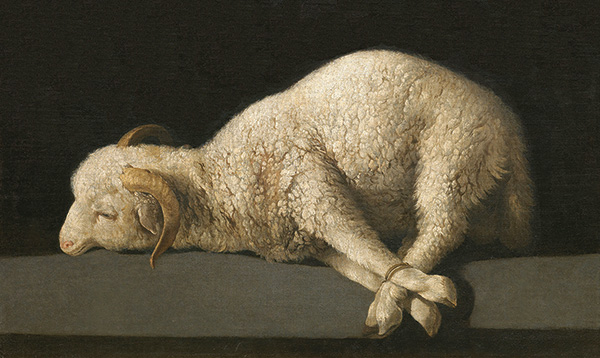 painting of a sheep