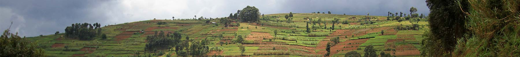 photo of Rwandan farm fields under a stormy sky