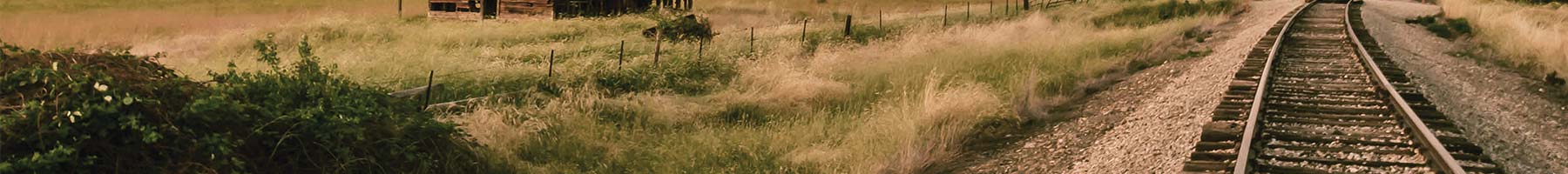 photo of train tracks