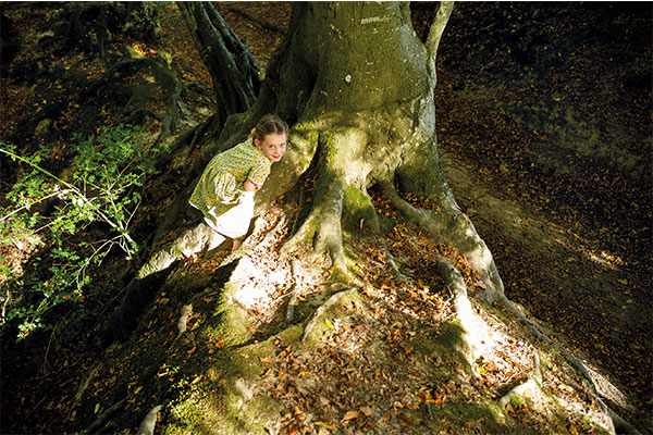 little girl in a green dress playing at the roots of a large beech tree