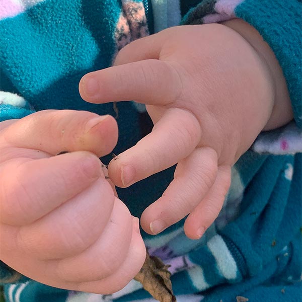 photo of a babys hands