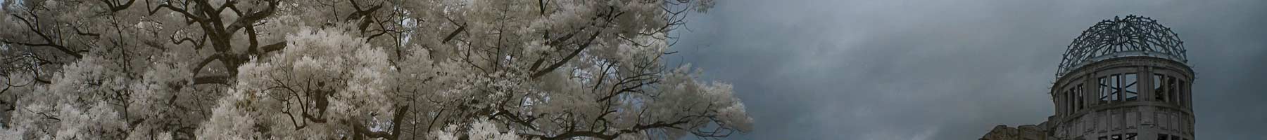 photograph of trees blooming outside the damaged church in Hiroshima where the nuclear bomb detonated in 1945