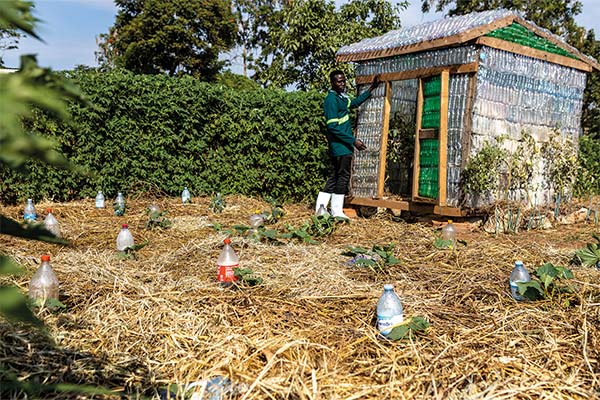 young man by a small greenhouse made of plastic bottles