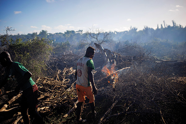 two men burning brush