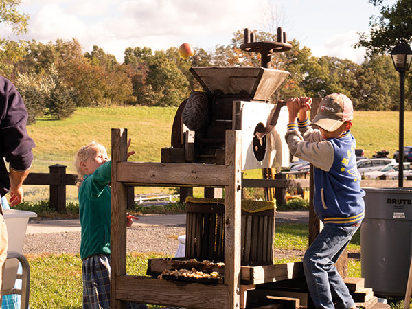 apple juice press