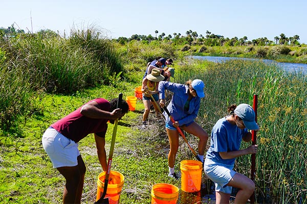 college students working with The Tampa Bay Estuary Program