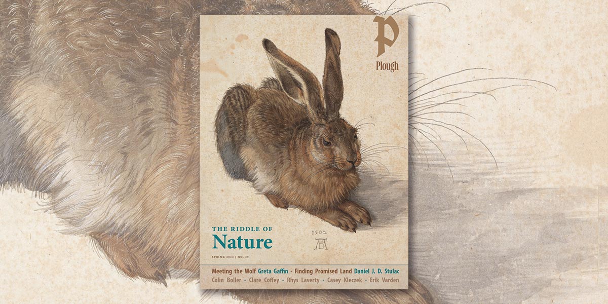 Plough Quarterly Spring 2024 Issue 39: The Riddle of Nature