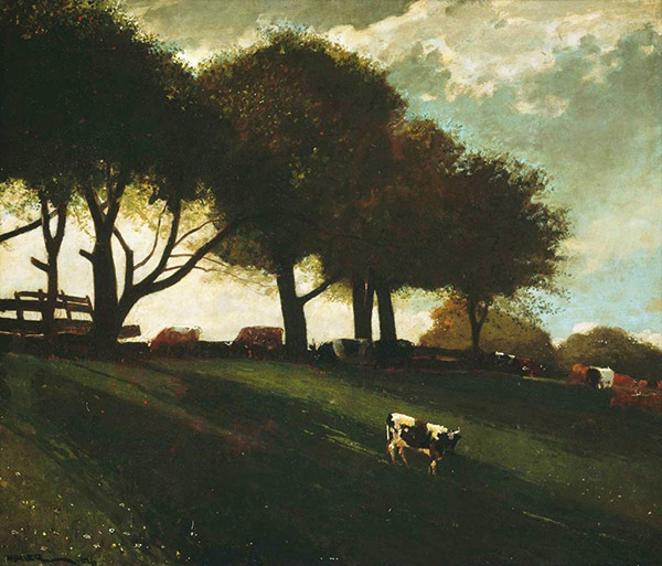 cows on a grassy hill under some trees