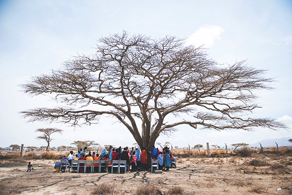 people sitting under a bare tree