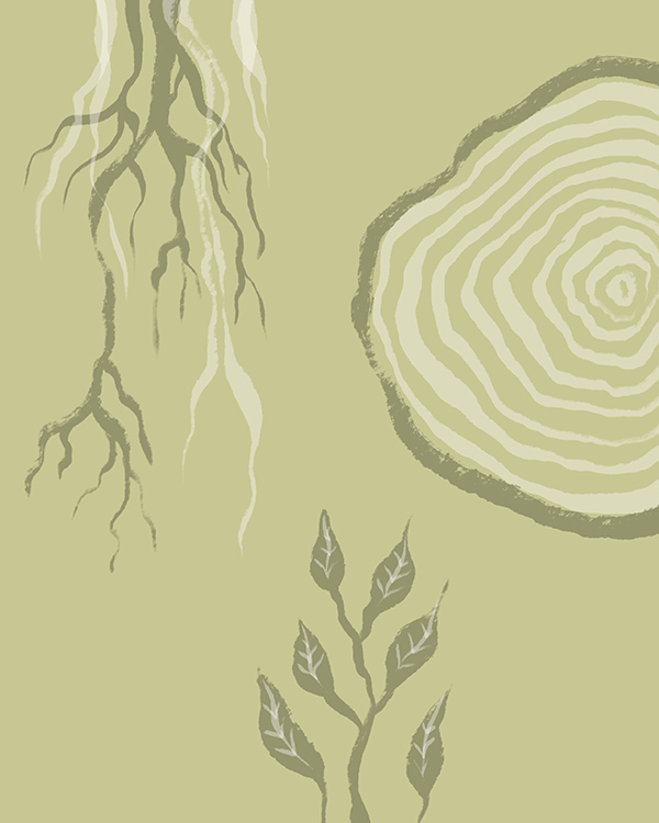 illustration of roots, tree trunk and branch