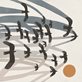 illustration of birds flying