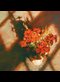 vase of flowers