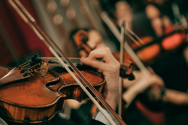 people playing violins in an orchestra