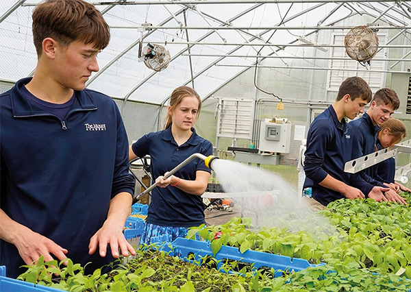 Ag class in a greenhouse