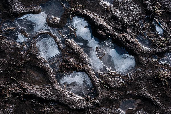 ice in a muddy footprint